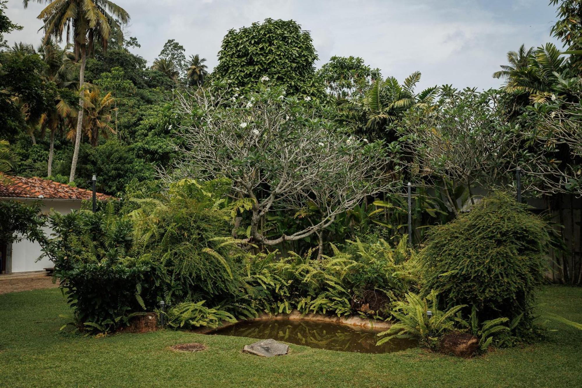 Villa White Queen Galle Kültér fotó